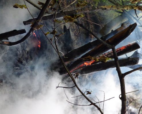 2016-05-15 Böschungsbrand 5