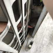 Katze im rolltor