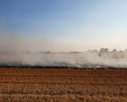 20180723 193505 2018-07-23 PKW -Flächenbrand
