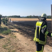 Flächenbrand Massenheim