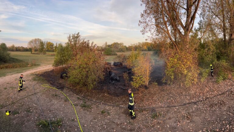 2026-176 – F 1 A – Brand im Freien (außerhalb)