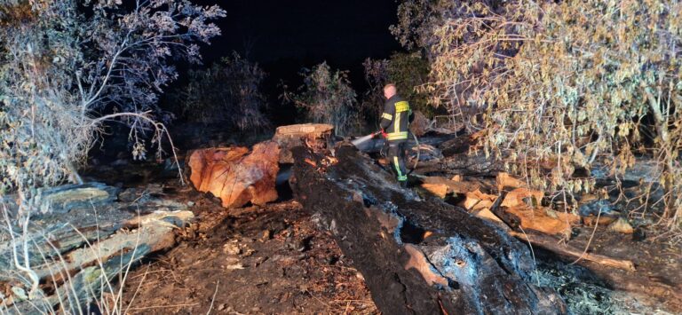 2026-179 – F 1 A – Brand im Freien (außerhalb)